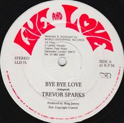 Download Trevor Sparks - Bye Bye Love