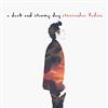 baixar álbum Alessandro Fadini - A Dark And Stormy Day