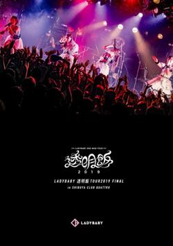 Download Ladybaby - 透明飯Tour2019 Final In Shibuya Club Quattro