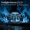 lytte på nettet Twilight Forces - We Are Wondering 4 Eternity