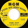 online luisteren Bill Robin And The Blue Jays - Camel Walk
