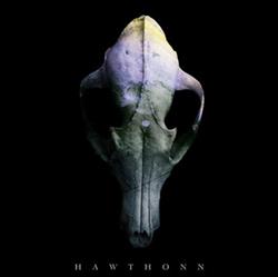 Download Hawthonn - Hawthonn