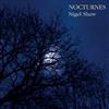 télécharger l'album Nigel Shaw - Nocturnes