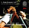 lytte på nettet Krawczyk & Bregović - Ślady Na Piasku