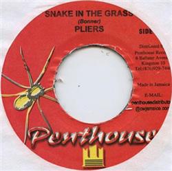 Download Pliers - Snake In The Grass