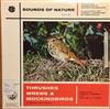lytte på nettet Donald J Borror, William W H Gunn - Thrushes Wrens Mockingbirds Of Eastern North America