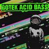 ladda ner album Gotek - Acid Bass