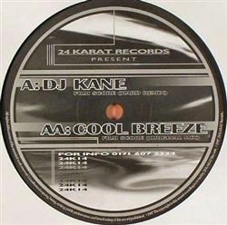 Download DJ Kane Cool Breeze - Film Score