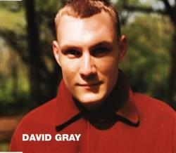 Download David Gray - Wisdom