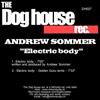 Album herunterladen Andrew Sommer - Electric Body