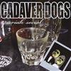 descargar álbum Cadaver Dogs - Pariah Social