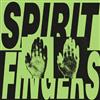 baixar álbum Rayka - Spirit Fingers
