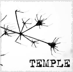 Download Temple - Раствор