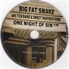 baixar álbum Big Fat Snake with The TCB Band & Sweet Inspirations - One Night Of Sin