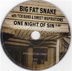 Download Big Fat Snake with The TCB Band & Sweet Inspirations - One Night Of Sin