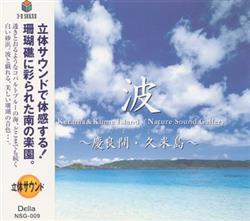 Download No Artist - 立体音響で聴く 波慶良間久米島 Nature Sound Gallery Surf