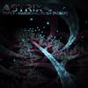 Album herunterladen Astrix - Type 1 Harmonic Rush Remix