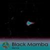 Album herunterladen Black Mamba - Silent LP
