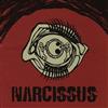 Narcissus - Narcissus