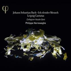 Download Johann Sebastian Bach, Collegium Vocale Gent, Philippe Herreweghe - Ich Elender Mensch Leipzig Cantatas