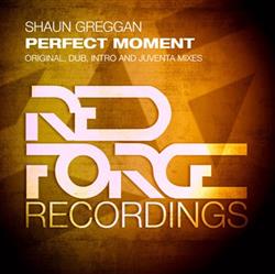 Download Shaun Greggan - Perfect Moment