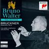 télécharger l'album Anton Bruckner Bruno Walter, Columbia Symphony Orchestra - Symphonie N 9 Bruno Walter Edition