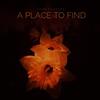 ladda ner album Tone Puppets - A Place To Find
