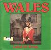 ouvir online The Newport Male Voice Choir - Wales Land Of Song