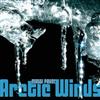ouvir online Maggi Payne - Arctic Winds