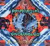online anhören Primordial Undermind - You And Me And The Continuum