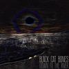 baixar álbum Black Cat Bones - Down To The River