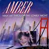 baixar álbum Amber - Walk Me Through The Lonely Night