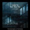 Album herunterladen The Brazierlights In The Window - Love To See You Try rryrry Remix