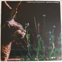 Download Lunatics On Pogosticks - Sniffing Lavender