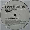 kuunnella verkossa David Guetta Feat Chris Willis - Stay