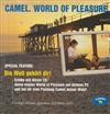 online luisteren Various - Camel World Of Pleasure