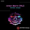 baixar álbum Anton Borin (RU) - Winter Wood