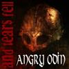 last ned album And Tears Fell - Angry Odin