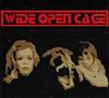 descargar álbum Wide Open Cage - Arranger After