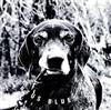 Wentus Blues Band - Genuine Dog Music
