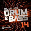 lyssna på nätet Various - Sublime Drum Bass 14
