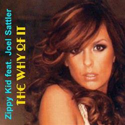 Download Zippy Kid Featuring Joel Sattler - The Why Of It feat Joel Sattler