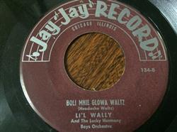 Download Li'l Wally And The Harmony Boys - Dzień Urodzin Polka Boli Mnie Glowa Waltz