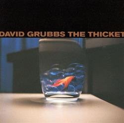 Download David Grubbs - The Thicket