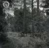 last ned album October Falls - Tuoni