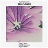 Album herunterladen Player Dave - Bellflower