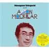 écouter en ligne Masayasu Tzboguchi - A Cat On Modular