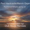 ascolta in linea Paul Hardcastle Feat Marvin Gaye - Rainforest Whats Going On Club House Remixes EP