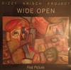 baixar álbum Dizzy Krisch Project - Wide Open First Picture