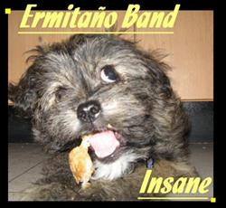 Download Ermitaño Band - Insane